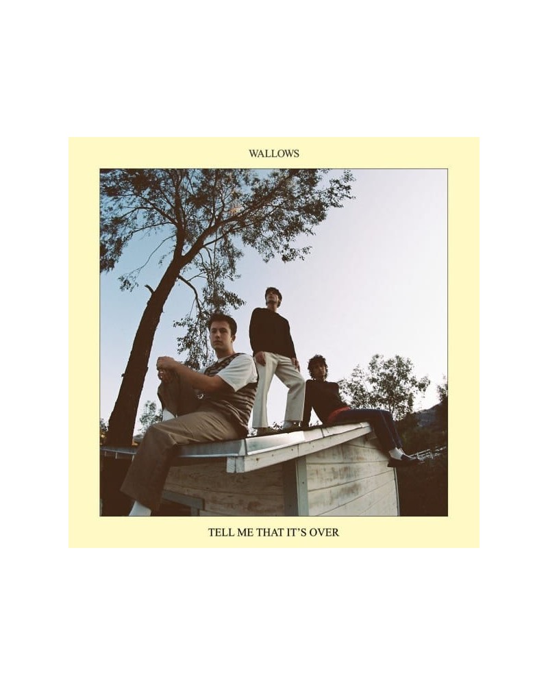 Wallows Tell Me That It's Over Vinyl Record $6.40 Vinyl