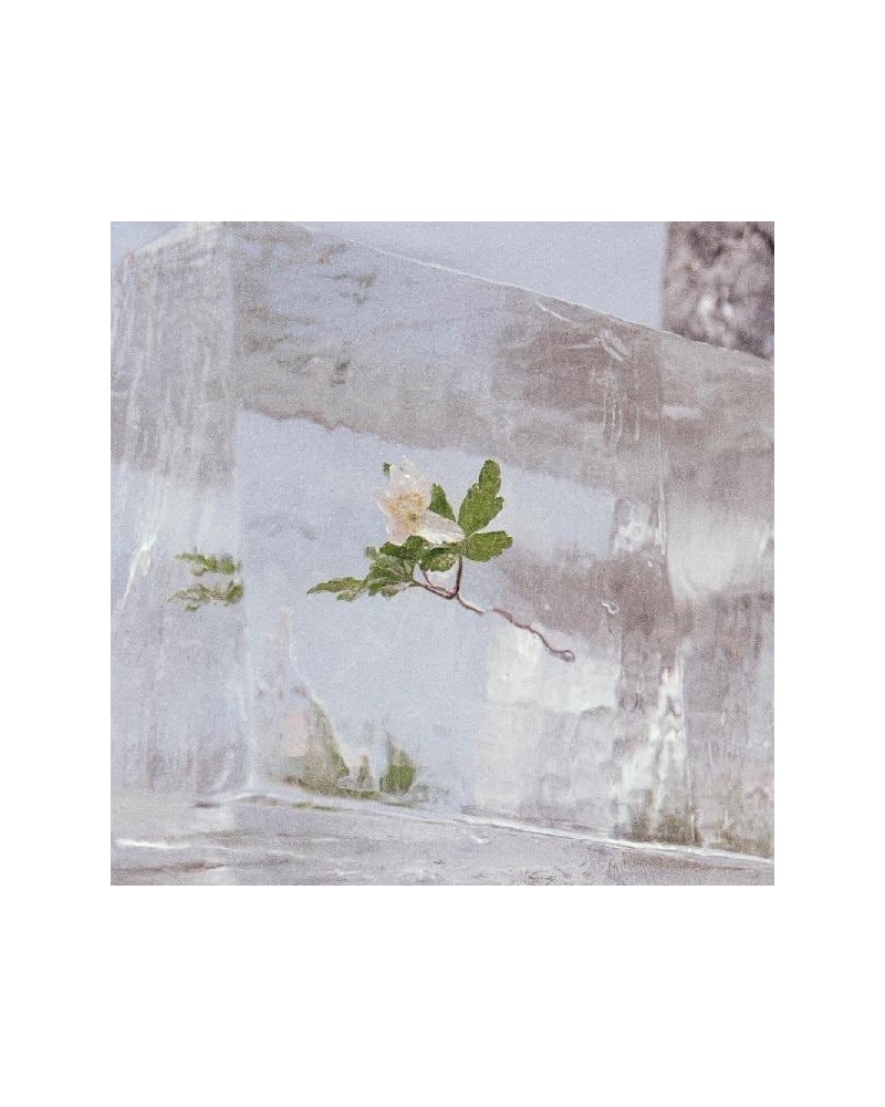 Efterklang Windflowers Vinyl Record $7.84 Vinyl